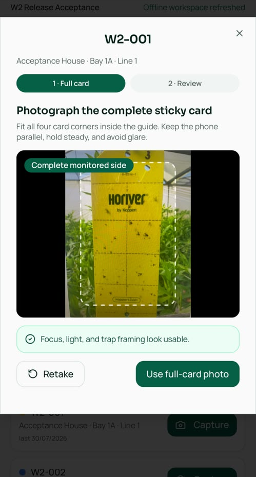 The single-photo trap capture screen with a framing guide over a yellow sticky trap.